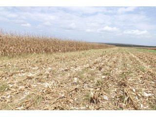 Property photo 35 - REAL ESTATE AUCTION - 1,000+/- ACRES OFFERED IN 10 TRACTS IN PITTSBURG CO., OKLAHOMA